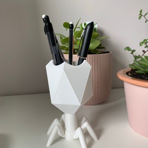 Kohavit added a photo of their purchase
