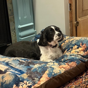 lindy added a photo of their purchase