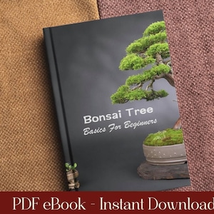 Bonsai Tree Basics: How-To-Anleitung fr Anfnger (PDF eBook Download) -  Etsy.de