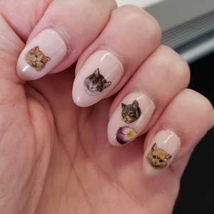 Melissa added a photo of their purchase