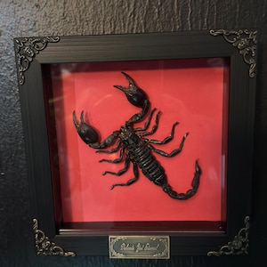 Devin added a photo of their purchase