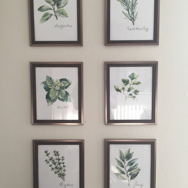 Kitchen Herbs Art Prints - Botanical Prints - (set of 6) - 8x10s - Etsy