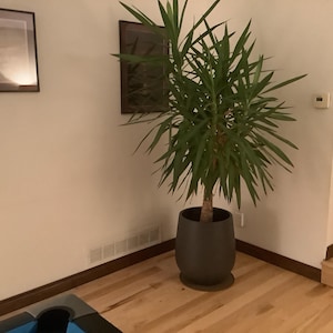 Eric added a photo of their purchase