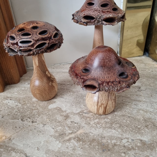 Wooden Mushrooms - set of 3 – Inspired EC