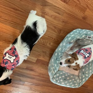 Julie added a photo of their purchase