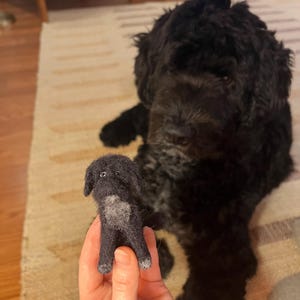 Hailey added a photo of their purchase