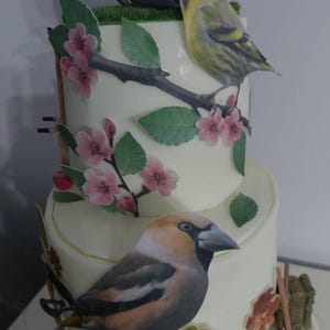 Marisabelle added a photo of their purchase