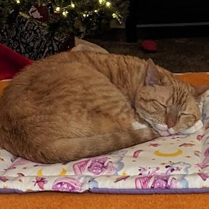 Rachel added a photo of their purchase