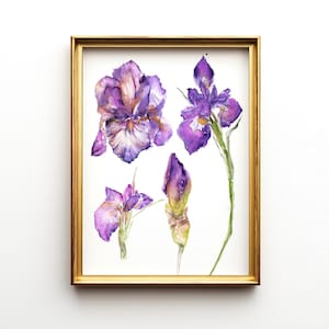 Marylène added a photo of their purchase
