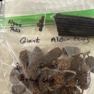 Kryzen added a photo of their purchase