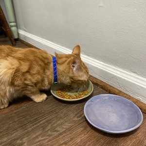 Harvey ha añadido una foto de su compra