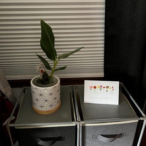 Comprador de Etsy ha añadido una foto de su compra