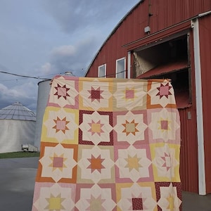 Molly added a photo of their purchase