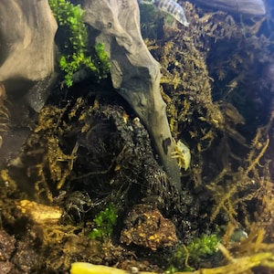 David added a photo of their purchase