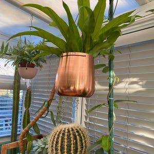 jean added a photo of their purchase