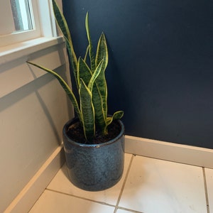 Laura added a photo of their purchase
