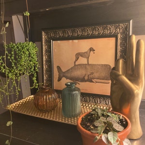 Cat Riding Moose Abyssinian Cat Riding Moose Vintage Collage | Etsy