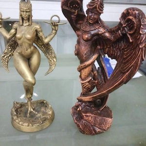 Diego added a photo of their purchase