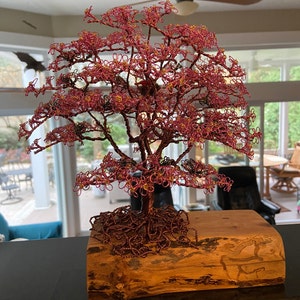 Lorre added a photo of their purchase