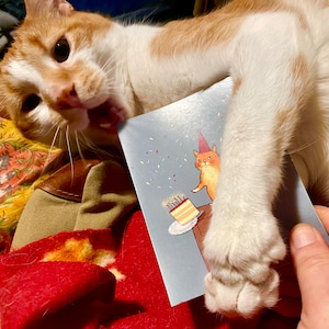 Culhoulan a ajouté une photo de son achat