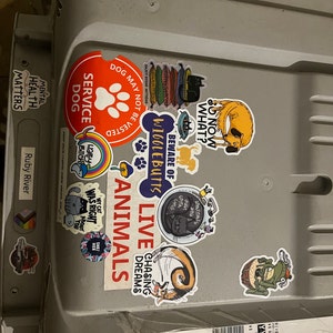 Sarah added a photo of their purchase