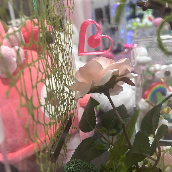 3D Universal Treehouse Insert for Jumping Spiders and Invertebrate ...