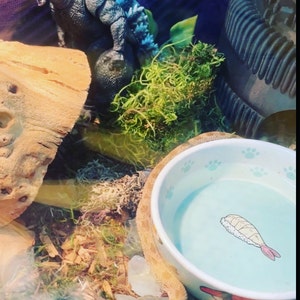 Angela added a photo of their purchase