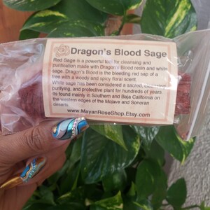 Dragon S Blood Sage Smudge Stick Sage Bundle For Etsy Dragon S Blood Sage Smudge Stick Sage Bundle For Etsy