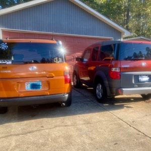 RONEE added a photo of their purchase