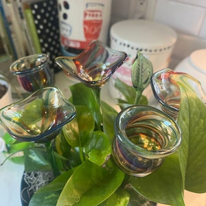 Meghan added a photo of their purchase