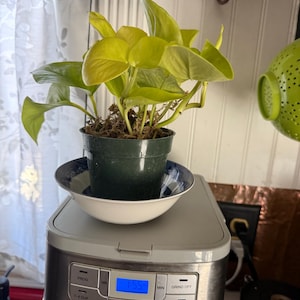 Faithy added a photo of their purchase