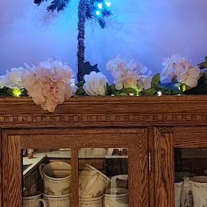 Diane added a photo of their purchase