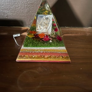 Shelby added a photo of their purchase