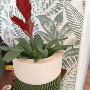 MJ added a photo of their purchase