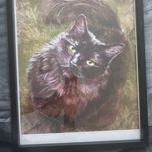 Travis added a photo of their purchase