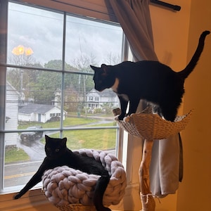 Clayton added a photo of their purchase