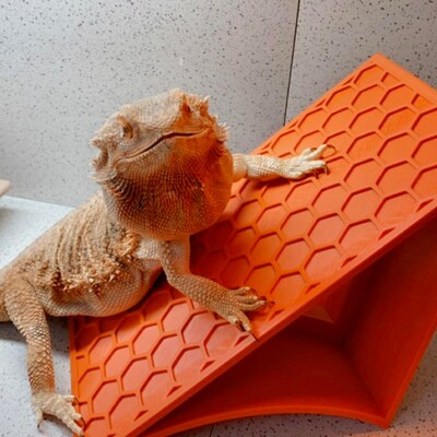 Crested Ramp Reptile Climbing Ramp, Bearded Dragon Basking Platform, Rock Wall ...