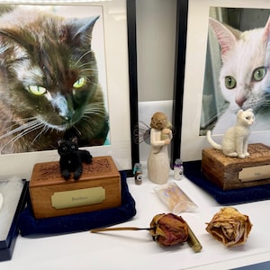 Misty added a photo of their purchase