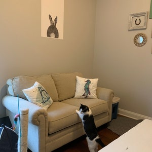 Tracy ha aggiunto una foto del proprio acquisto