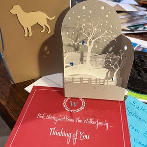 Shirley added a photo of their purchase