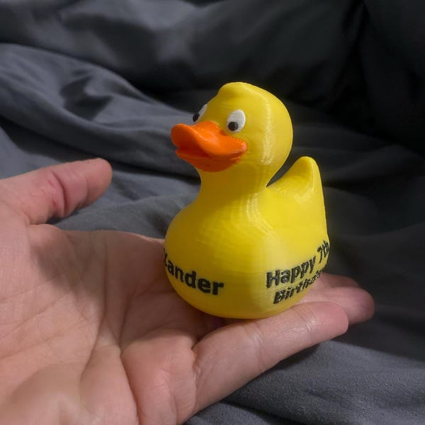 Build Your Custom 3D Printed Duck! - Etsy