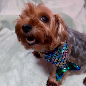 Roxana hat ein Foto des gekauften Artikels hinzugefügt