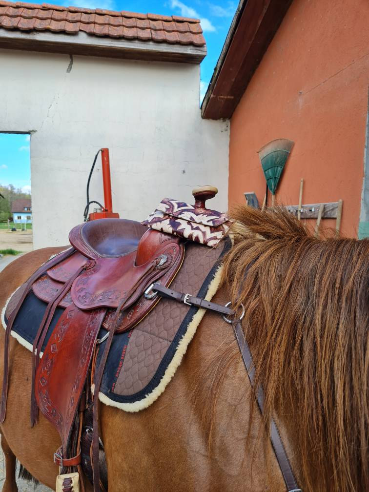Leather Saddle phone holder Saddle sack Pommel bag phone pouch Western phone case