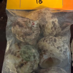 aroura added a photo of their purchase
