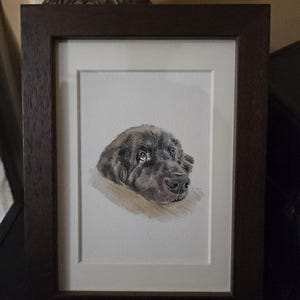 Margaret added a photo of their purchase