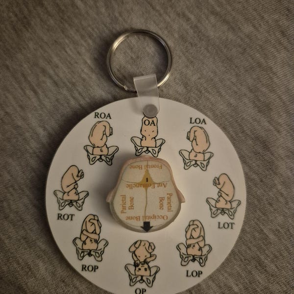 Sottobicchiere Divertente Per Ostetrica: "Student Midwife – At Your Cervix" - Legno MDF Lucido, 9x9 Cm, Idea Regalo Umoristica