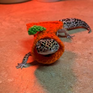 Crocheted Pumpkin Gecko Costume | Pet Cape - Etsy