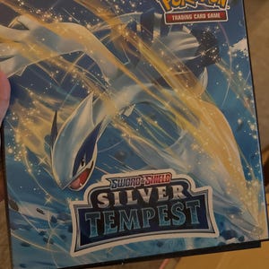 Sword/shield 9-17 Pokémon Binders W/exact Number of Pages for Sets