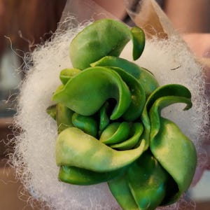Cassandra added a photo of their purchase