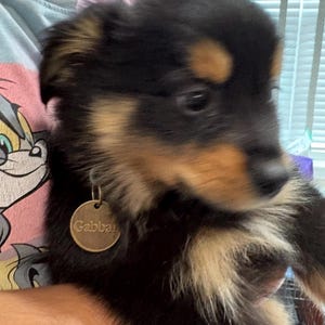 Roop heeft een foto van de aankoop toegevoegd
